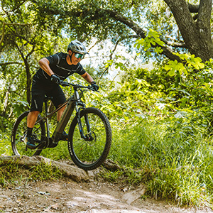 Mountain biker on an alpine trail